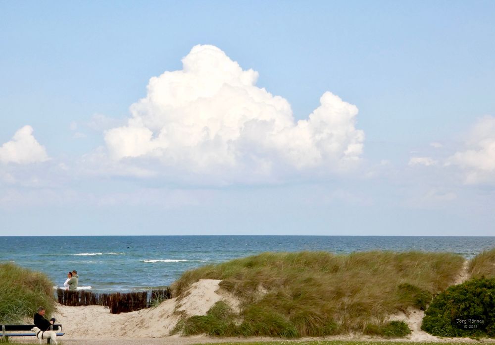 Das Bild zeigt eine Küstenlandschaft an einem sonnigen Tag. Im Vordergrund befinden sich Sanddünen mit hohem Gras, ein Mann sitzt auf einer Bank mit einem Hund, und ein Paar steht am Strand nahe einer niedrigen Wellenbrecher-Struktur. Im Hintergrund erstreckt sich das Meer unter einem Himmel mit einer großen, weißen Cumuluswolke. Das Bild vermittelt ein ruhiges und friedliches Gefühl.