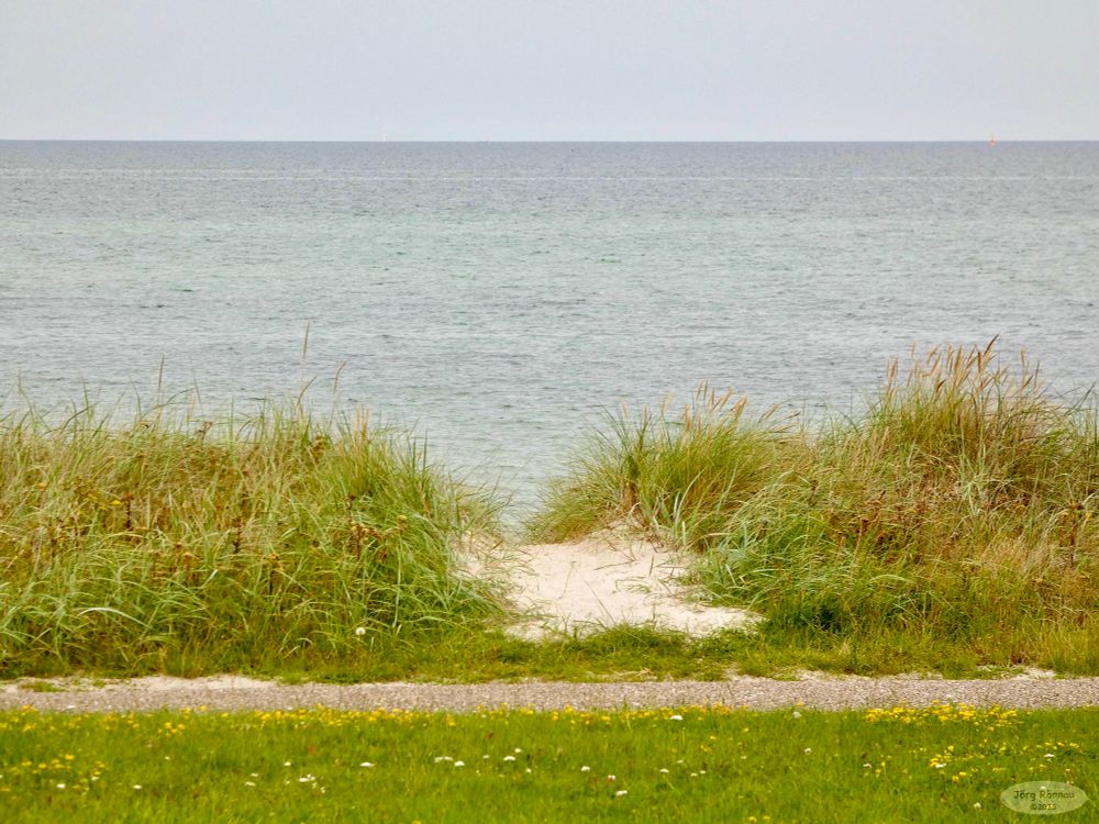 Das Bild zeigt einen sandigen Weg durch hohe Strandgräser, der zu einem ruhigen Meer führt. Der Himmel ist bedeckt und grau, das Wasser ruhig und in verschiedenen Blautönen. Im Vordergrund ist eine Wiese mit gelben Blüten zu sehen. Das Gesamtbild wirkt ruhig und naturverbunden.