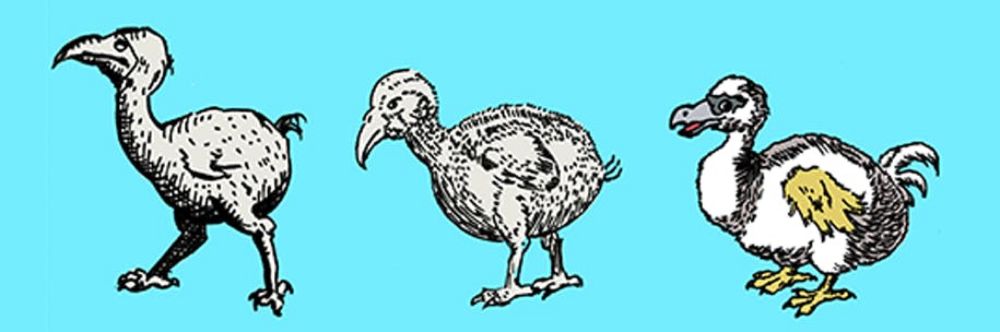 How History Did the Dodo Wrong