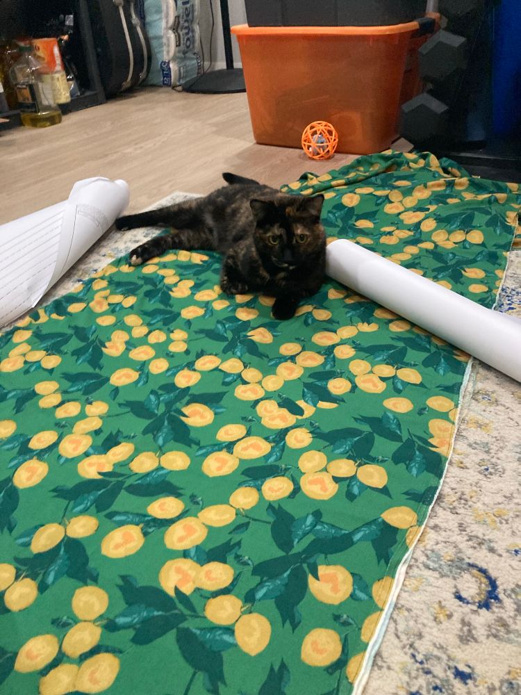 A tortoiseshell cat laying on some fabric with a lemon pattern