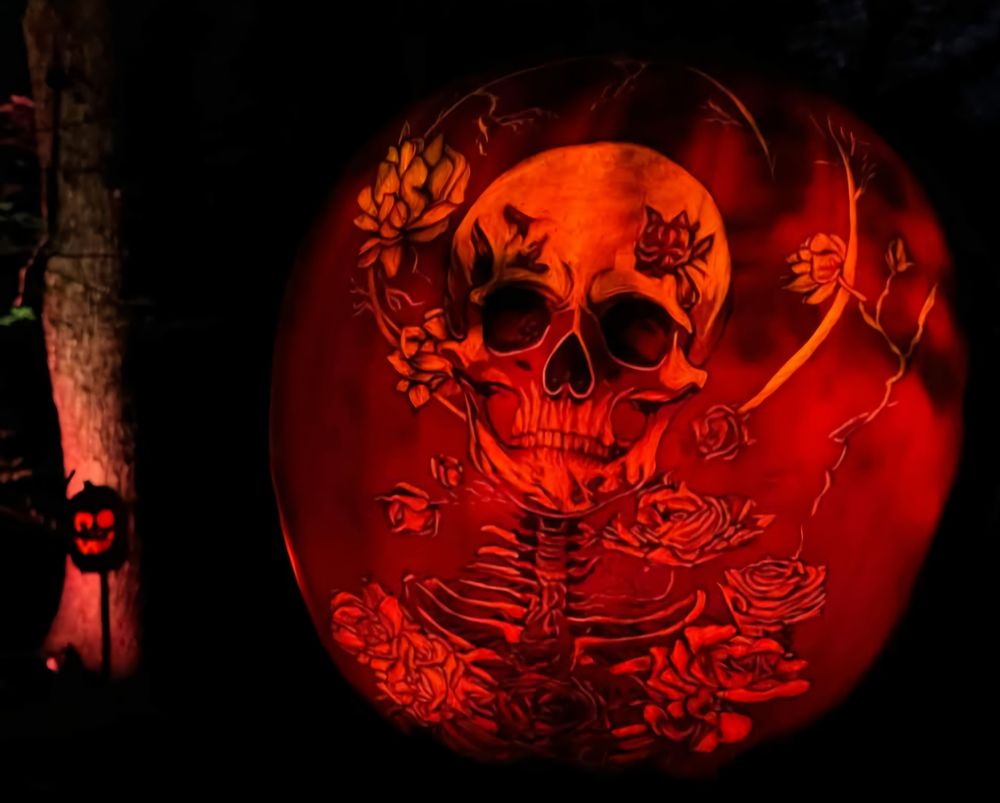 Lit pumpkin carving of skeleton covered in roses