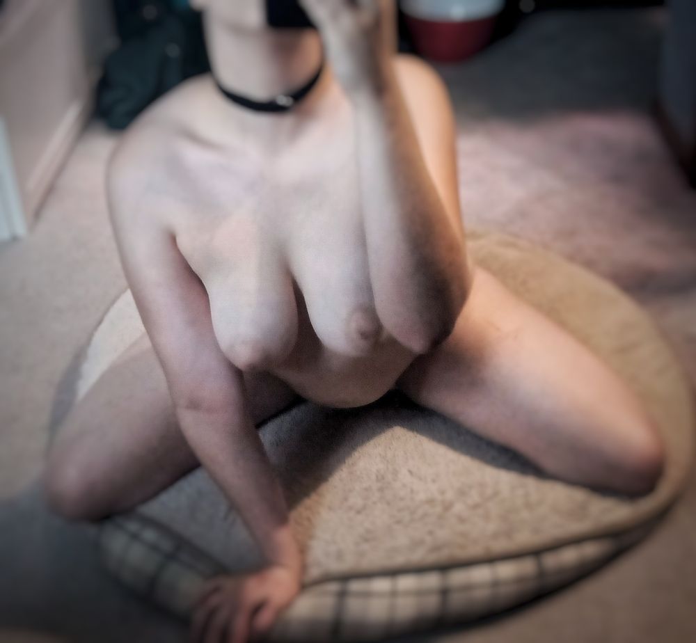 Arlo on his knees with his legs spread. He is leaning forward with his left hand supporting him on the edge of his dog bed