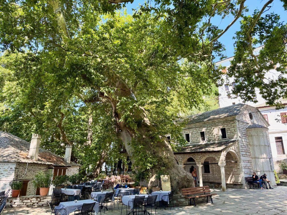 Village square with taverna tables under a giant plane tree
