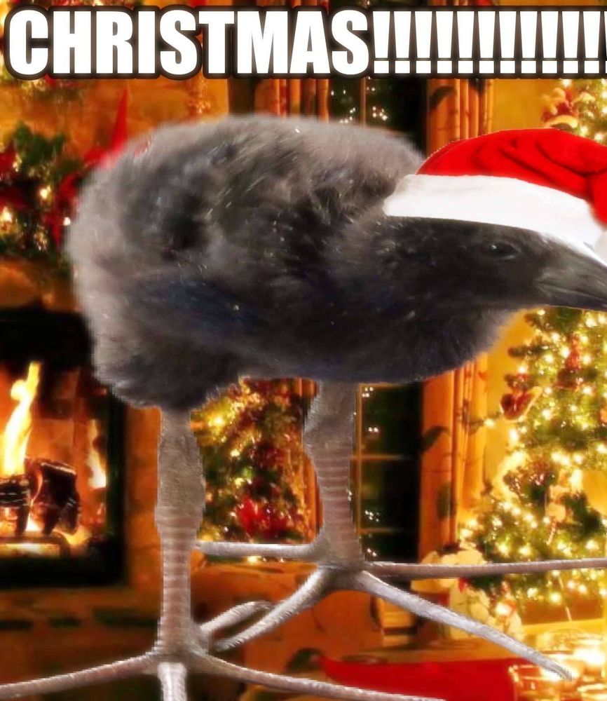 Pukeko Christmas Decoration Pukeko Christmas Decoration