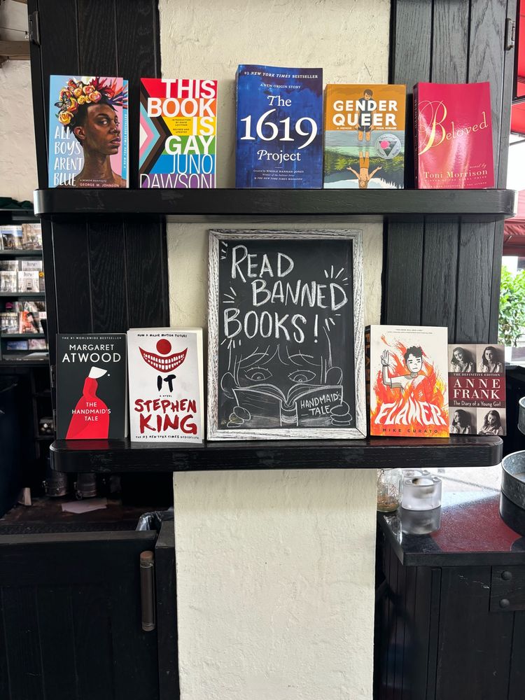 A display by a bar showing off All Boys Aren’t Blue by George M. Johnson, This Book Is Gay by Juno Dawson, The 1619 Project by Nicole Hannah-Jones, Genderqueer by Maia Kobabe, Beloved by Toni Morrison, The Handmaid’s Tale by Margaret Atwood, IT by Stephen King, Flamer by Henry Holt, and The Diary of Anne Frank. All have been either challenged or banned in Florida counties. A chalkboard features a drawing exclaiming, “READ BANNED BOOKS!” A child reads The Handmaid’s Tale.