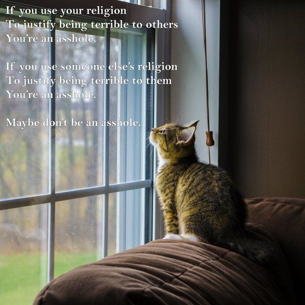 Old poster from John Scalzi. Tabby kitten sitting on the back of a sofa looking up at the sky through a window. Words on the poster: If you use your religion to justify being terrible to others, You're an asshole. If you use someone else's religion to justify being terrible to them You're an asshole. Maybe don't be an asshole.