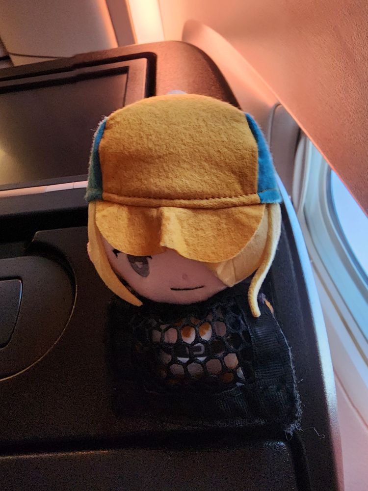 Volo plushie in the baby seat on a flight