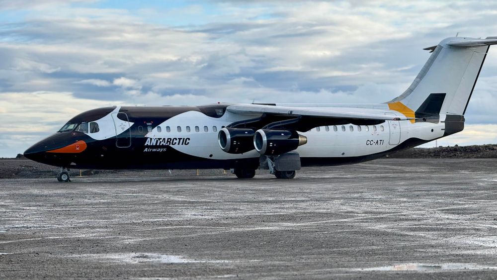 A small plane painted to look like a Gentoo Penguin on a muddy runway. 