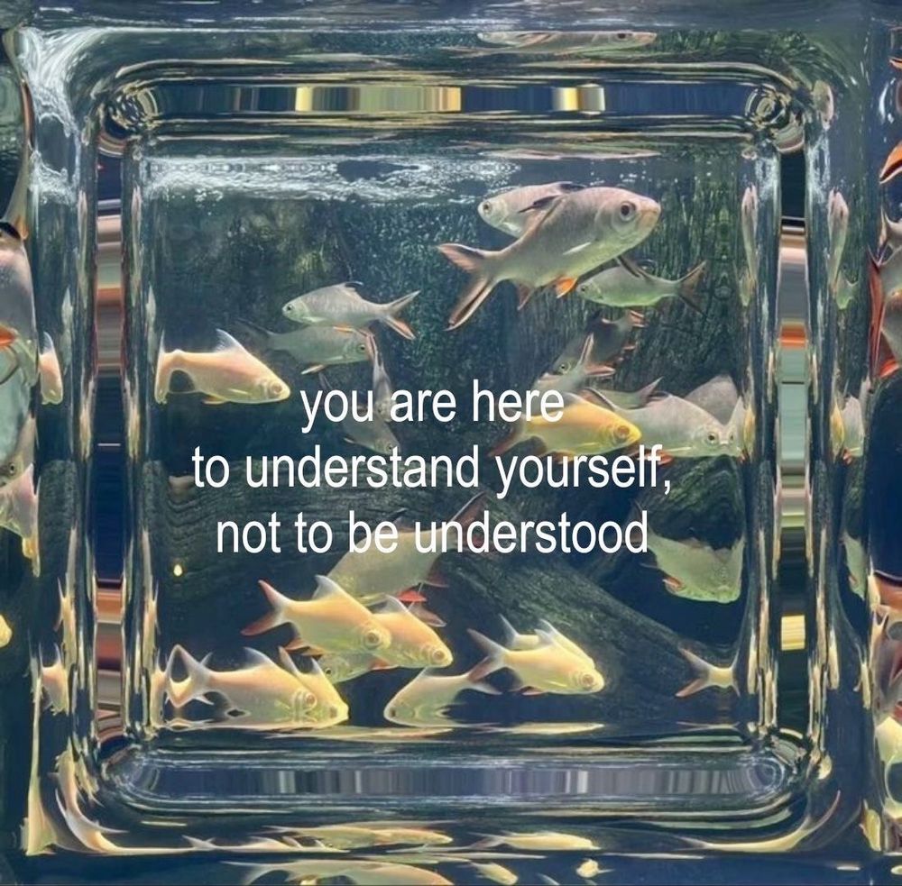 a picture of a lil aquarium with the caption
“You are here to understand yourself, not to be understood”