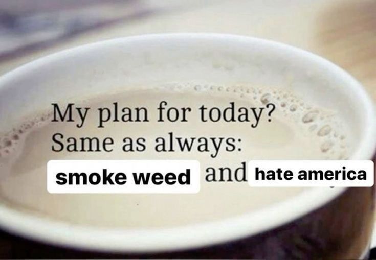 my plan for today?
Same as always:
Smoke weed and hate America 