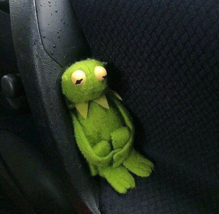 kermit sad