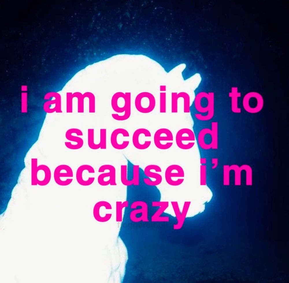 i am going to succeed because i’m crazy