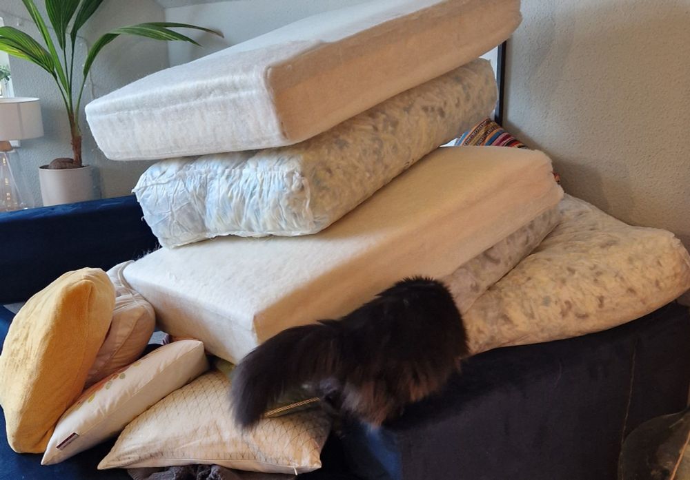 Ein riesiger chaotischer Turm aus Sitzpolstern, Rückenpolstern, bunten Couchkissen und Decken auf einer Couch. Eine schwarze Langhaarkatze steckt ihren Kopf in eine entstandene kleine Höhle in diesem Turm. Im Hintergrund eine Kokospalme