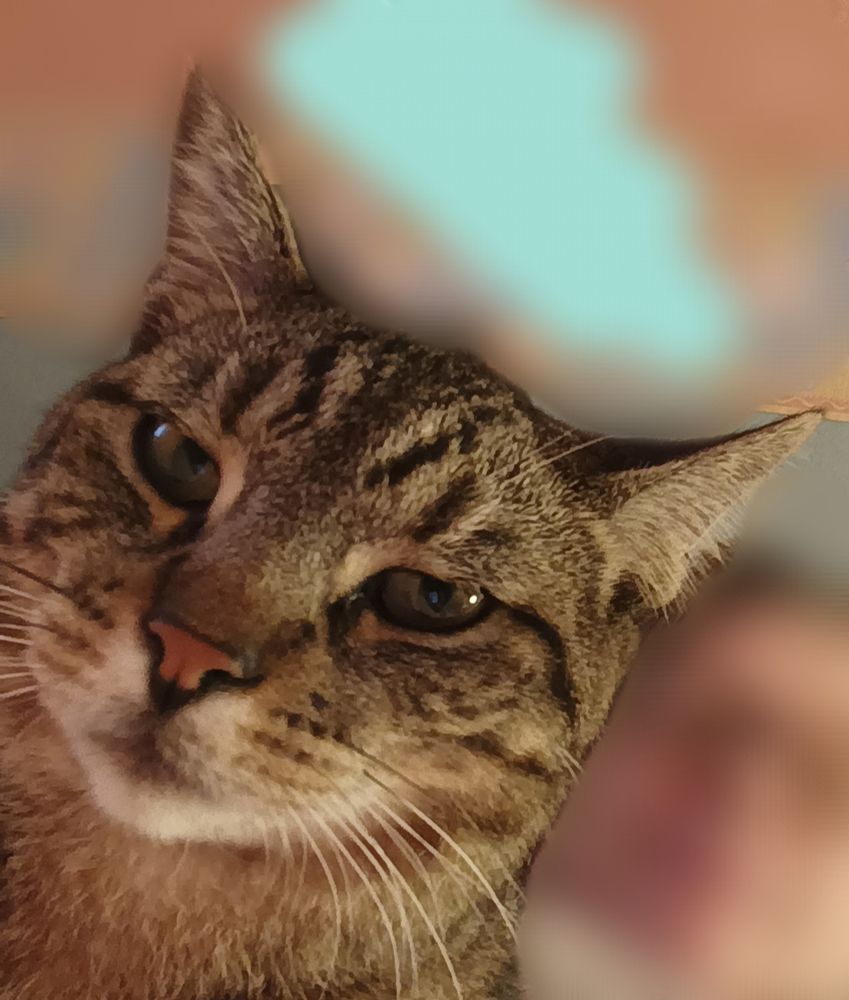 Ma tête durant le film 