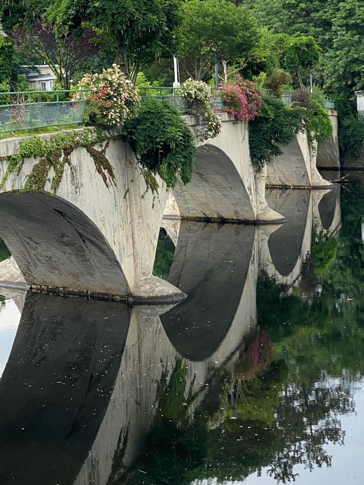 Flower bridge arches with reflection in water. 