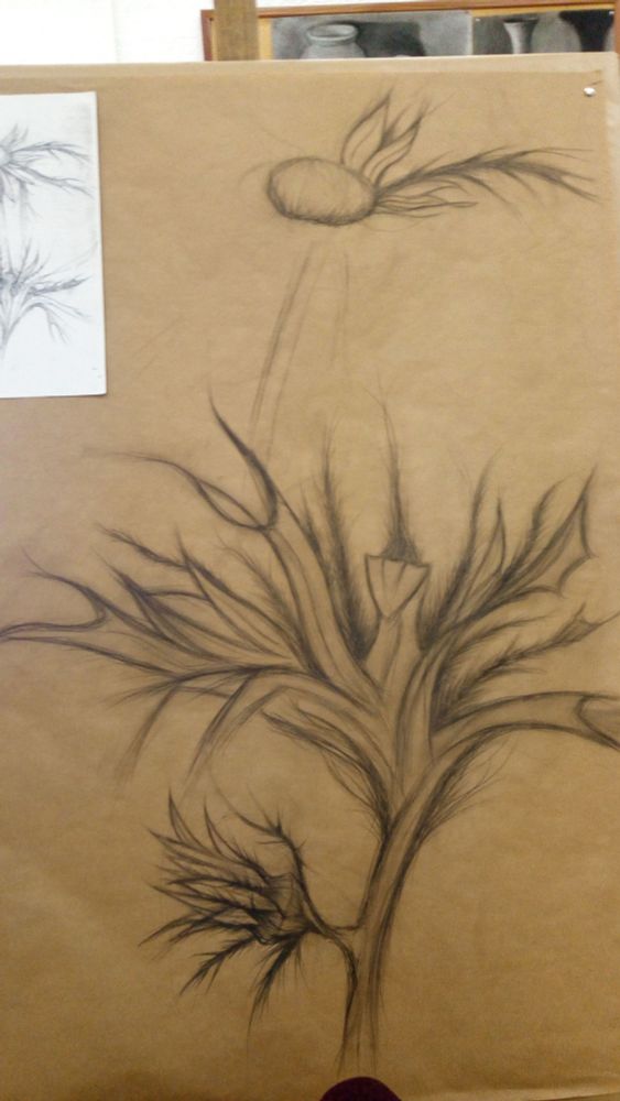 Proceso de unas ortigas realizado a carboncillo y grafito 