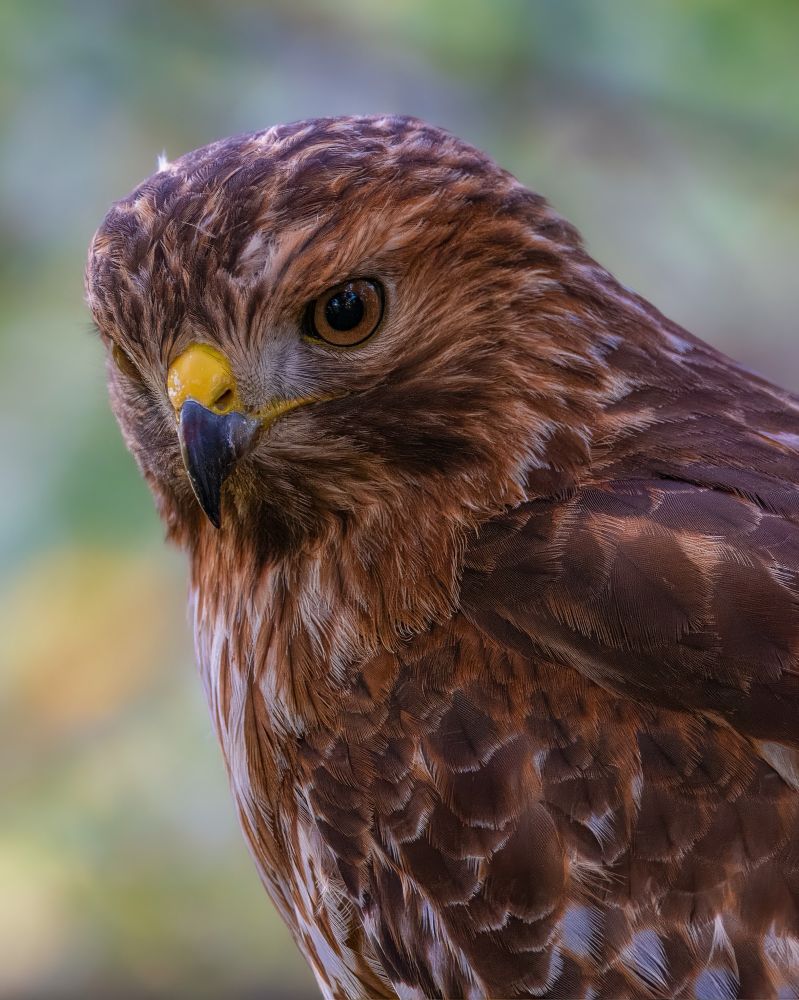 bafkreibjkegu3qwffue4lwzjv62cfnumvg5csxiyc37mmkgkwibvan6tqu@jpeg