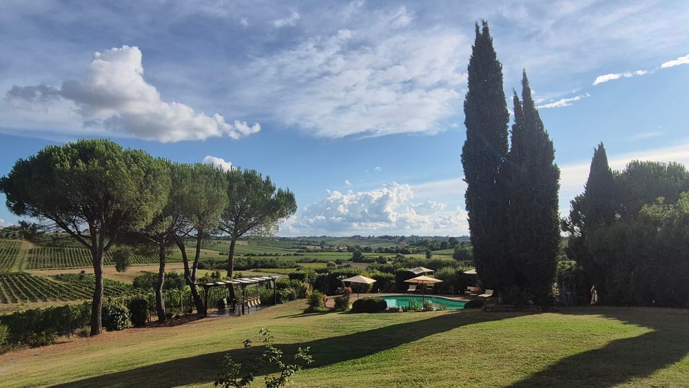 Garden with view of vineyards