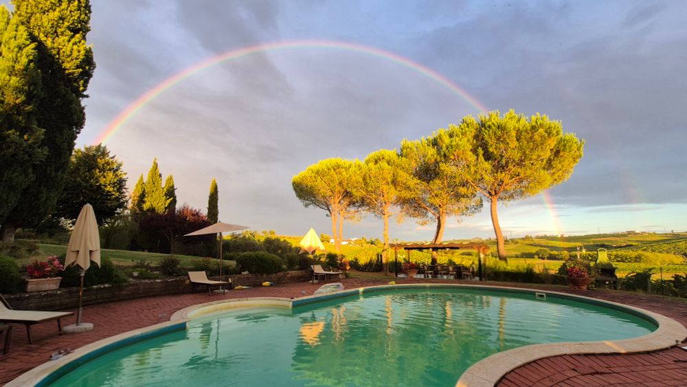 Swimming pool with Tuscan pine trees behind.