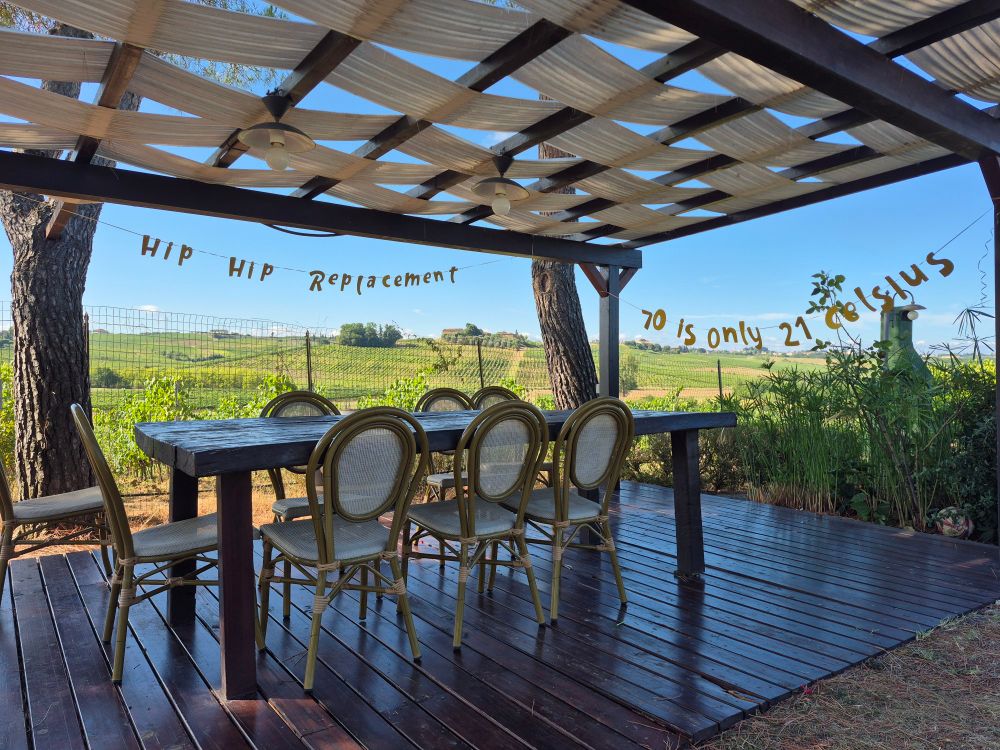 Dinner table with 'Hip Hip Replacement' and '70 is only 21 Celsius' signs