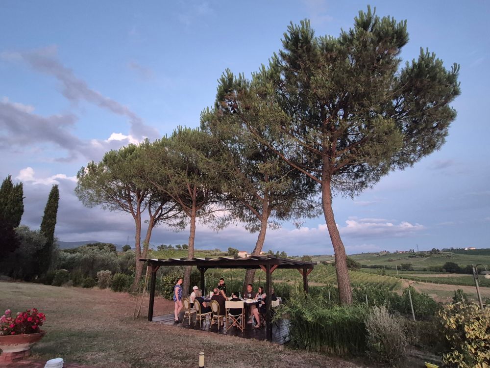 Dinner in the garden