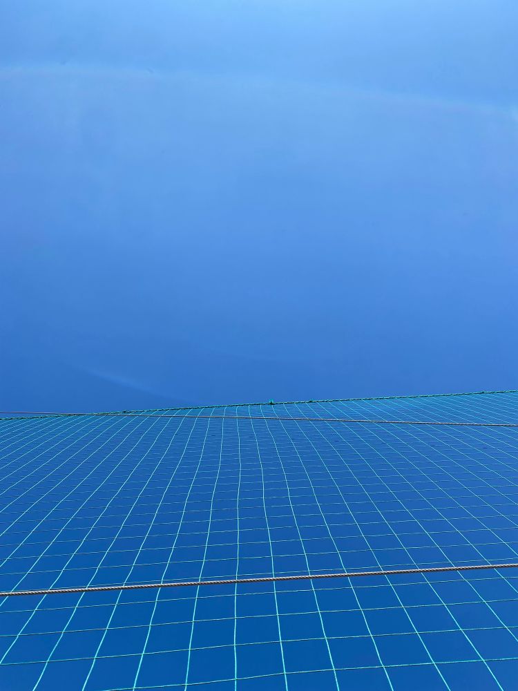 藤枝MYFCの練習試合を見に行きました