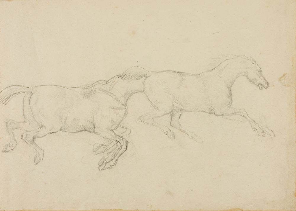A drawing of two horses. One horse's head is obscured by the rear end of the other horse, leading to a humorous depiction. 