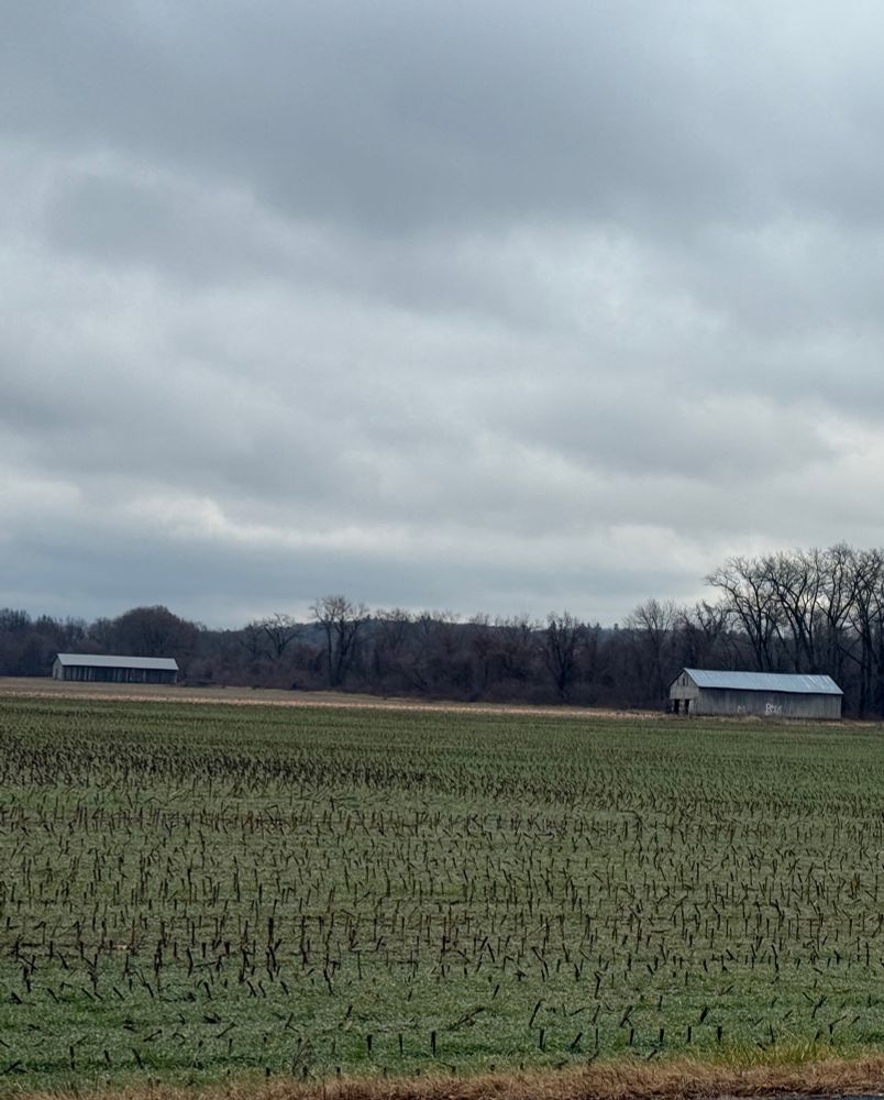 Cloudy grey skies over tobacco barns and green farmland