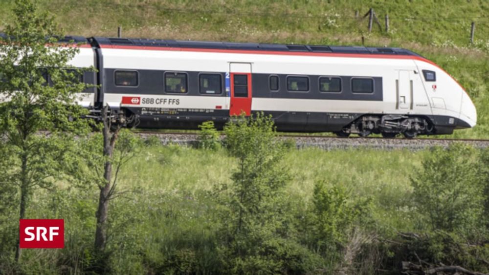 Eisenbahnböschungen: SBB tut wenig für Tiere und Pflanzen - Echo der Zeit - SRF