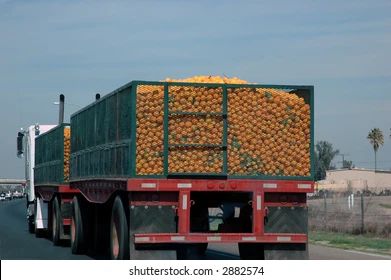 Un camion rempli d'oranges