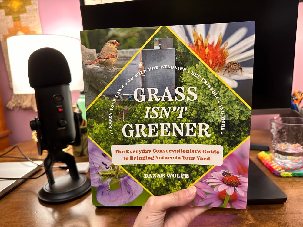 Book cover with title of “Grass Isn’t Greener” held up in front of computer screen next to microphone.