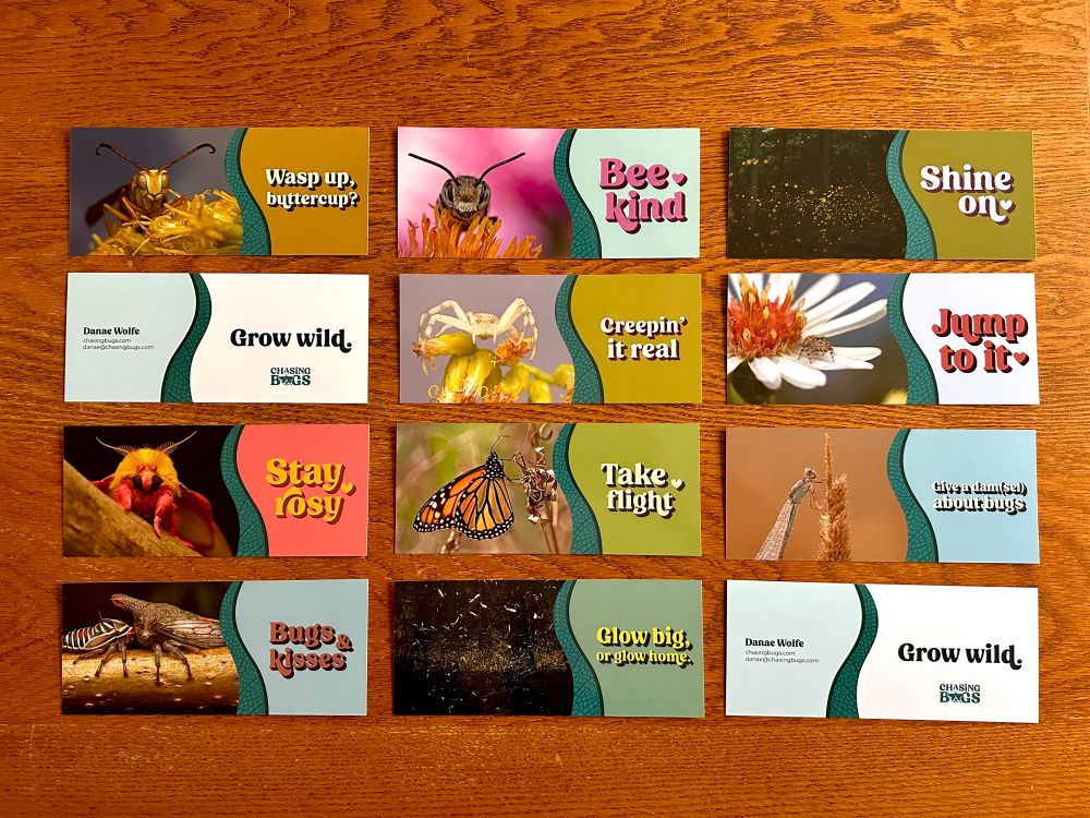 Twelve colorful bookmarks with insect and spider imagery laid out on a wooden table. 