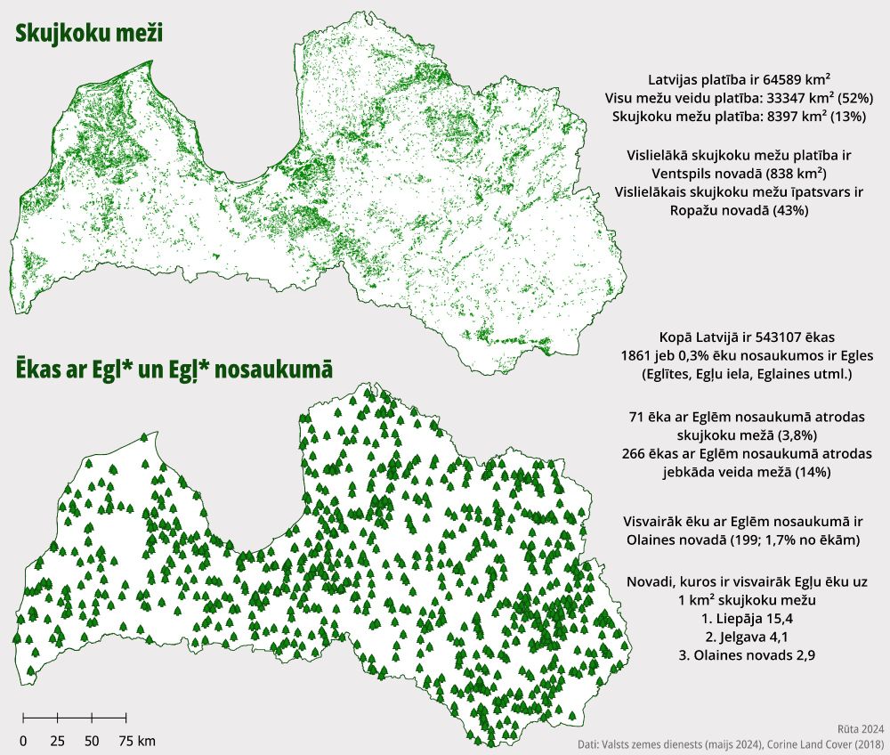 augšā - karte ar skujkoku mežu izplatību latvijā. apakšā - karte, kurā atzīmētas ēkas ar nosaukumiem, kuros pieminētas egles (Eglītes, Egļu iela, Eglaines utml.). sānos - fun facts par šīm parādībām un to saistību. izmantoju Valsts zemes dienesta un Corine Land Cover datus.