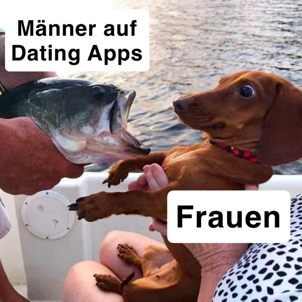 Meme: Links Fisch mit offenen Mund mit Aufschrift „Männer auf Datingsapps“ und rechts verschreckter Dackel mit Aufschrift „Frauen“