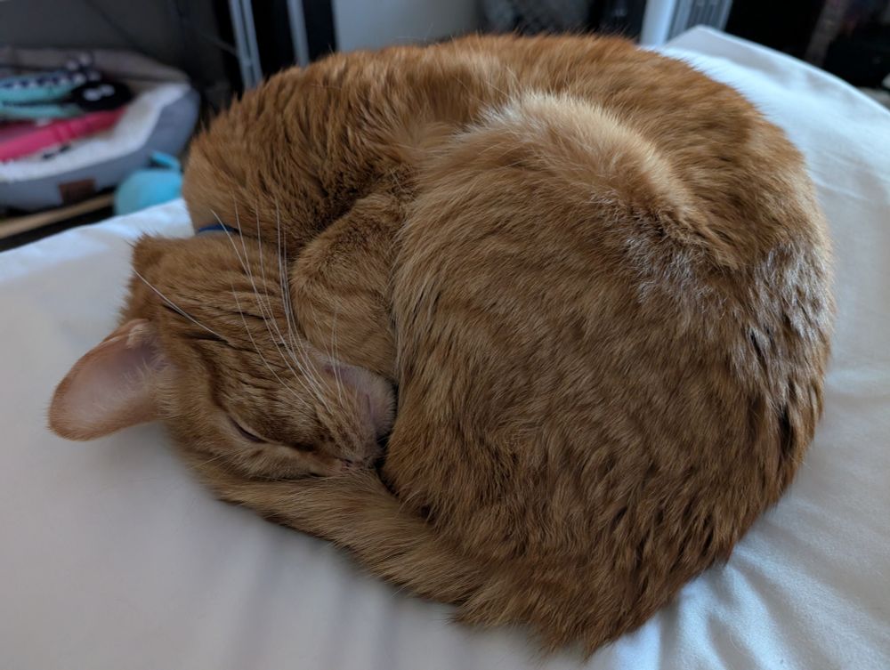 A croissant