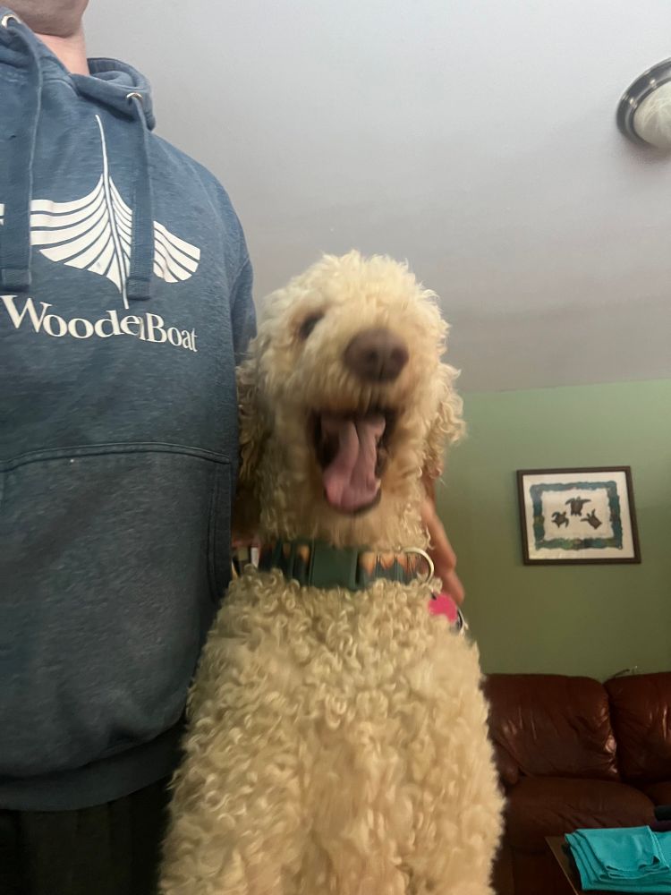 Olli standing with his mouth open looking very goofy.