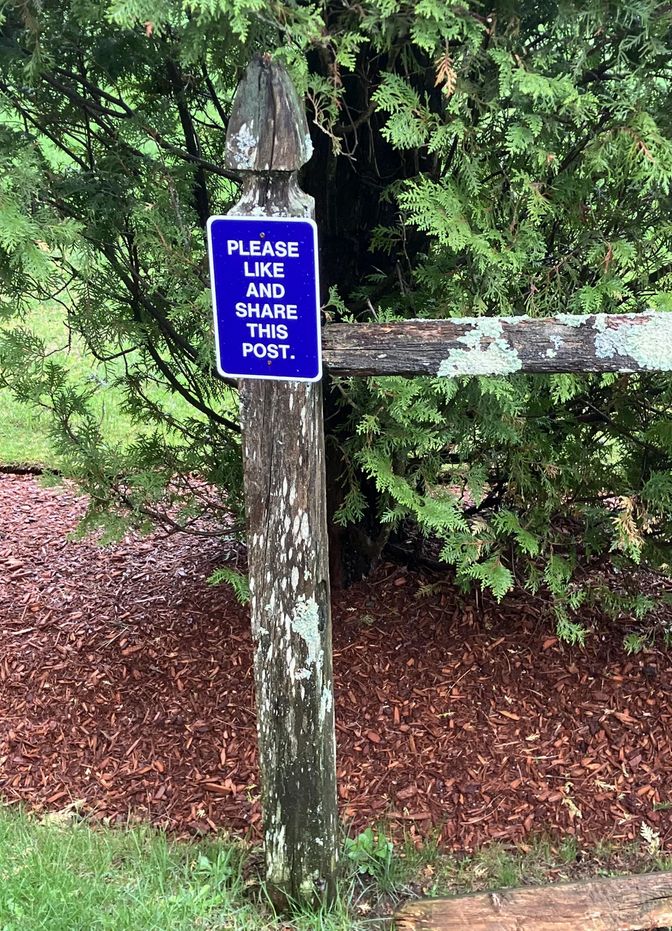 A *post* with a sign on it. Sign reads: "please like and share this post"