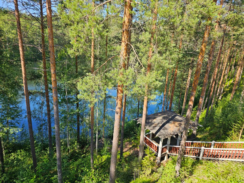 Näkymä kauniina kesäpäivänä Parikkalan hotelli-ravintola Kägösen terassilta. Mäntyä kasvava harjumaisema, alhaalla puiden välistä näkyy osa Pitkälammen pohjoispäätä.