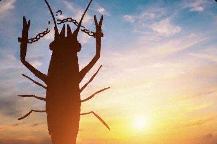 a silhouette of a shrimp breaking out of handcuffs as the sun rises