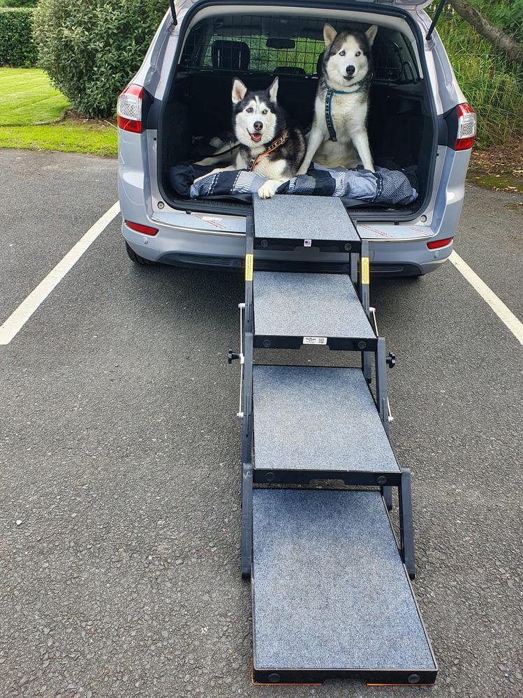 Mya and Kai with their steps in back of car