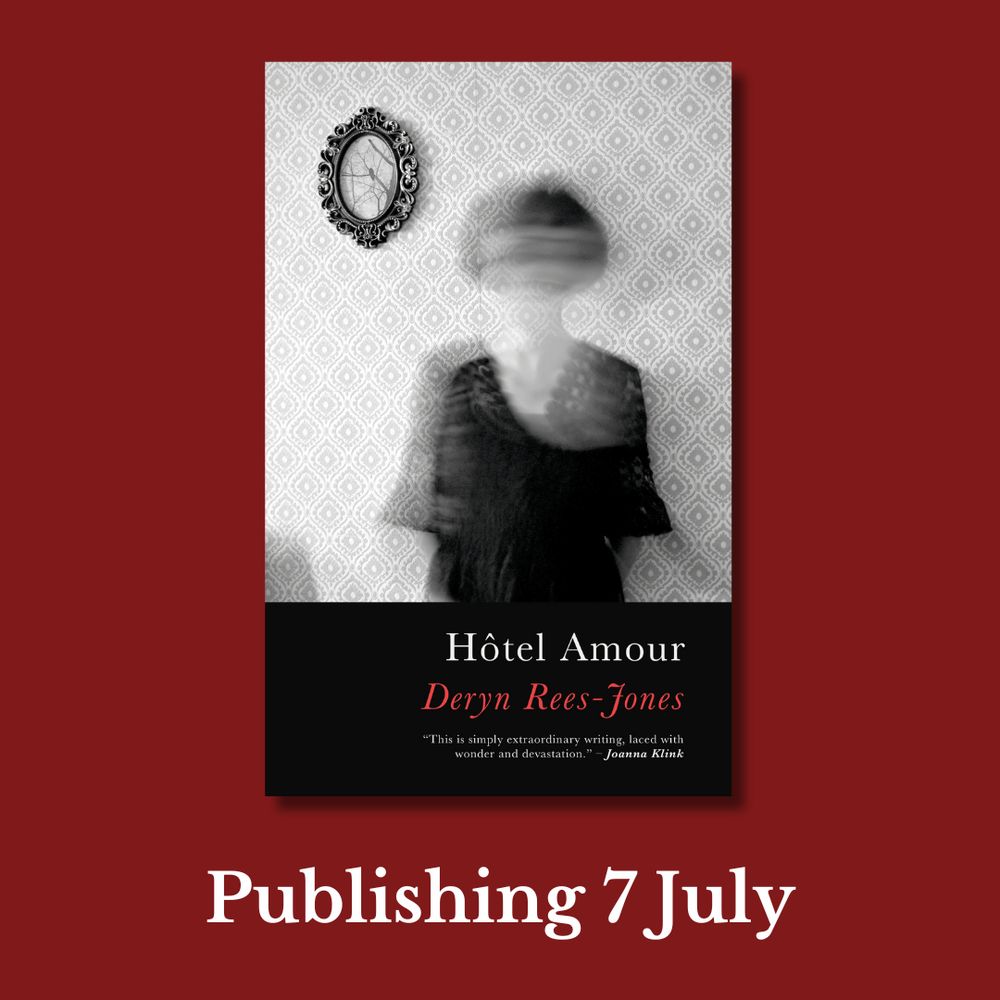 This cover shows a blurred image of a women in a 1920s style black dress standing in front of a patterned wall. The text reads: Hotel Amour. Deryn Rees-Jones