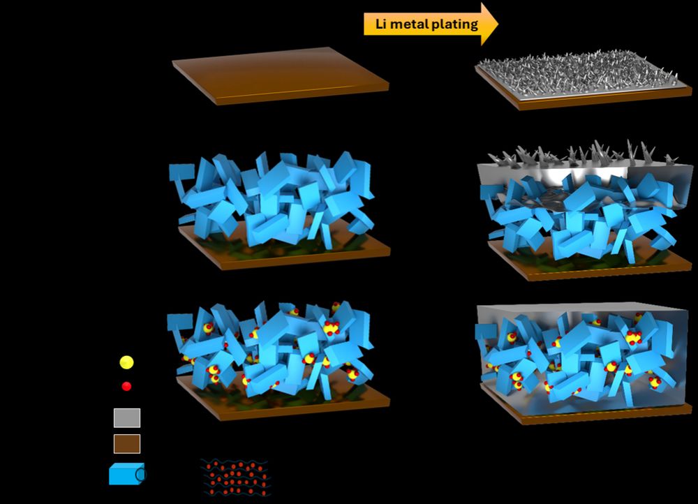 Schematic showing the lithiophilic influence of Si incorporation, to induce more homogenous Li deposition