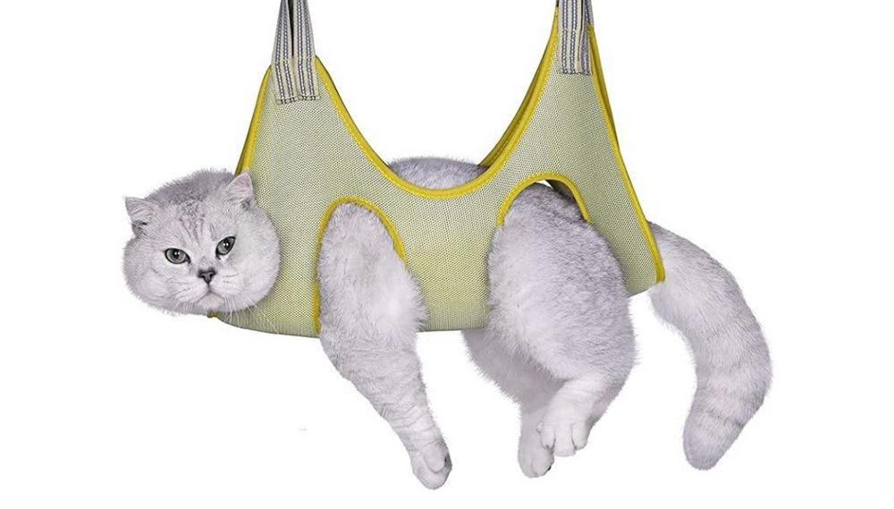 White Persian cat looking pissed off suspended in a yellow harness.