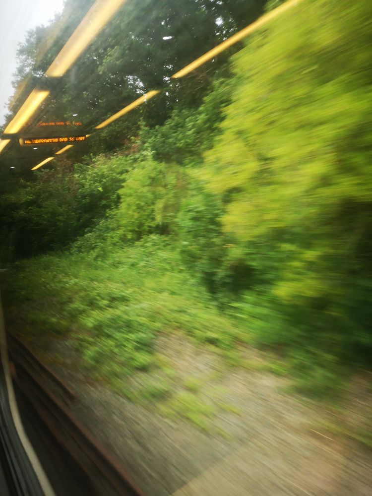 Blurry greenery through train window. Reflected lights. Temporal shiver.