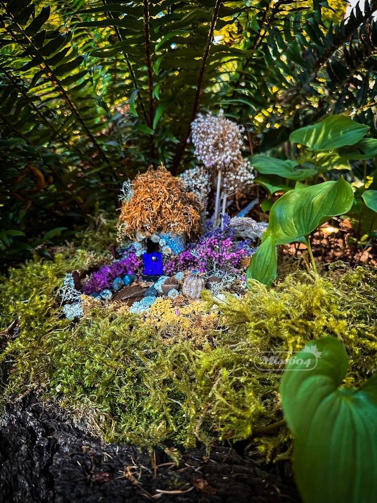 On a bed of moss on a stump in the garden, a tiny fair house creation made of plants and flowers with a little purple door