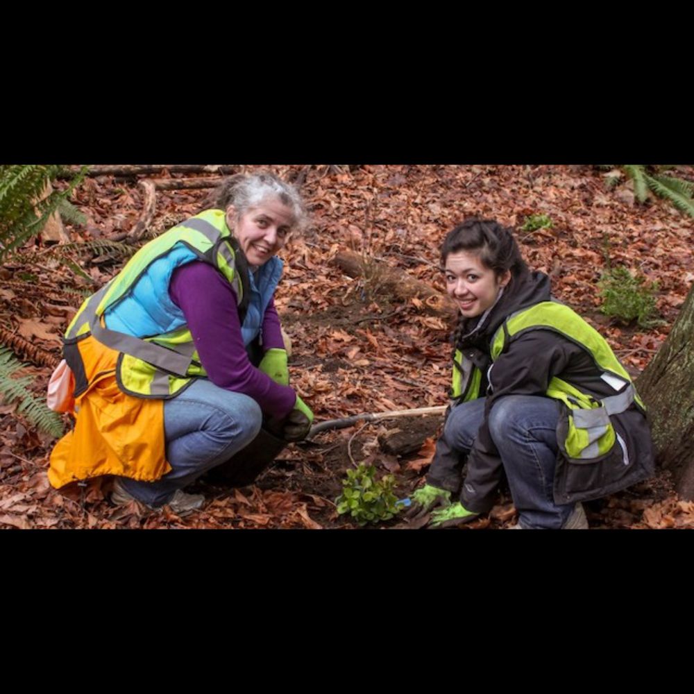 Volunteer at Planting Events in Stanley Park