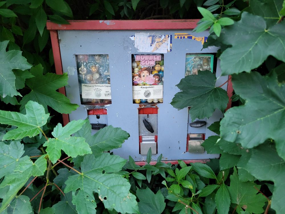 Kaugummiautomat, der schon ziemlich überwuchert ist