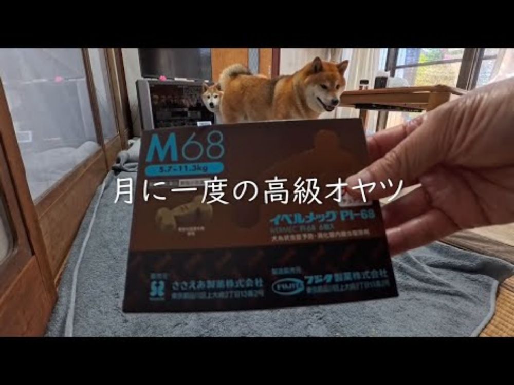 2025年8月8日(金) ひと粒ハーゲンダッツ3.5個分！月に一度の高級オヤツ【お薬です】