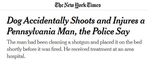 New York Times headline: Dog Accidentally Shoots and Injures a Pennsylvania Man, the Police Say. Summary text:
The man had been cleaning a shotgun and placed it on the bed shortly before it was fired. He received treatment at an area hospital.