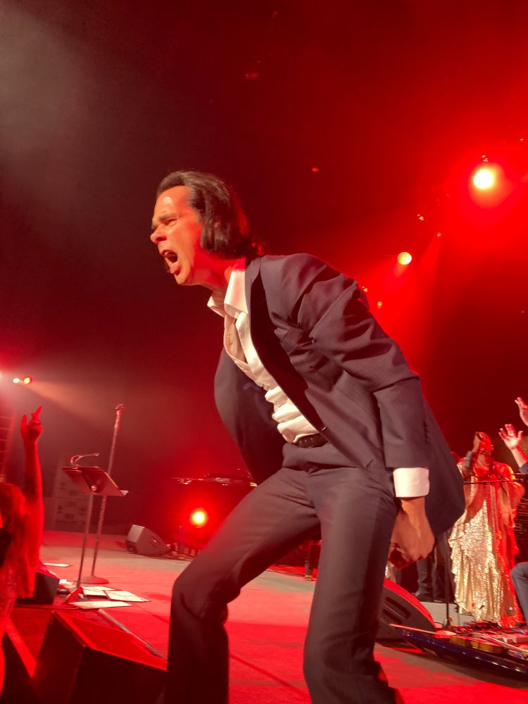 Nick Cave onstage in a suit, no tie, leaning forward and belting out a tune.